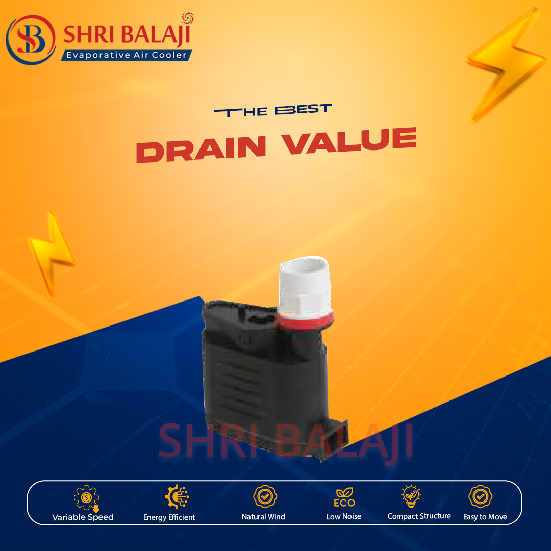 Drain Valve